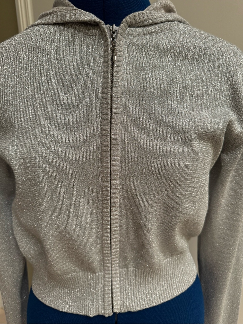 Agnes B NEW Sparkle Zip-Front Hooded Sweater - Silver